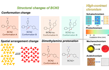 Dual-conformation stimuli-responsive material and its high contrast imaging 2026.101050